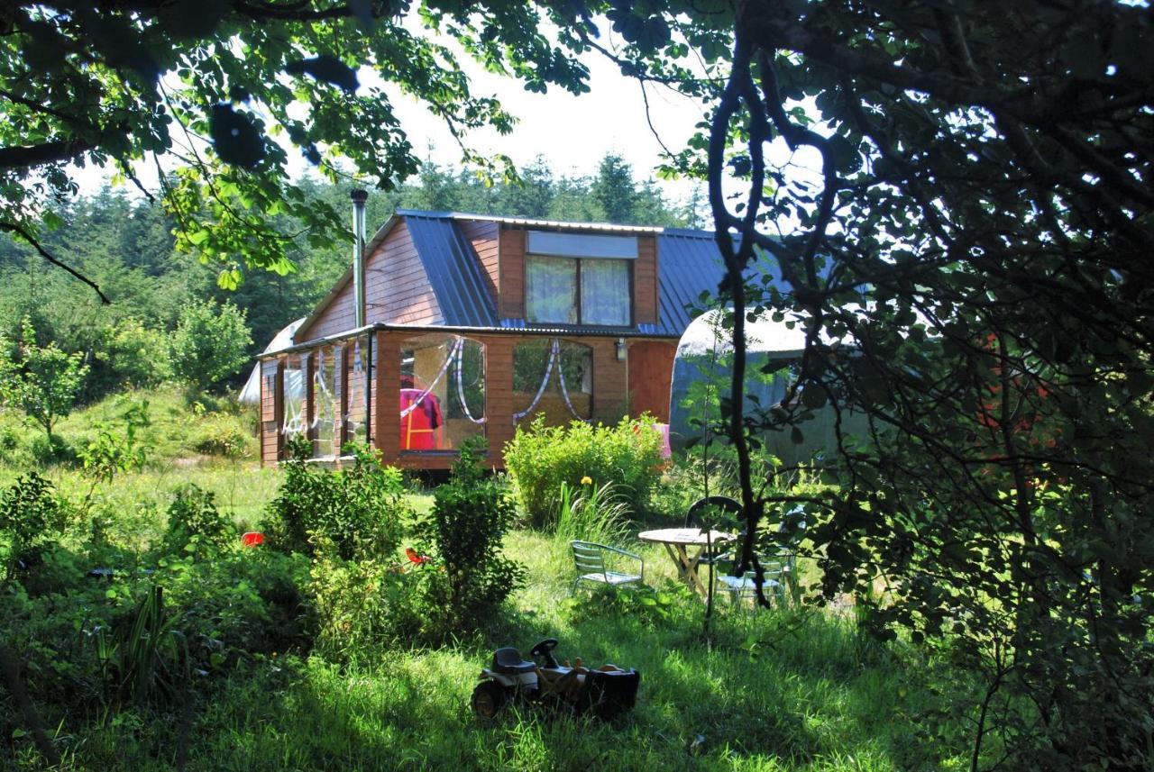 Meadowsweet Forest Lodge Fintown Exterior foto
